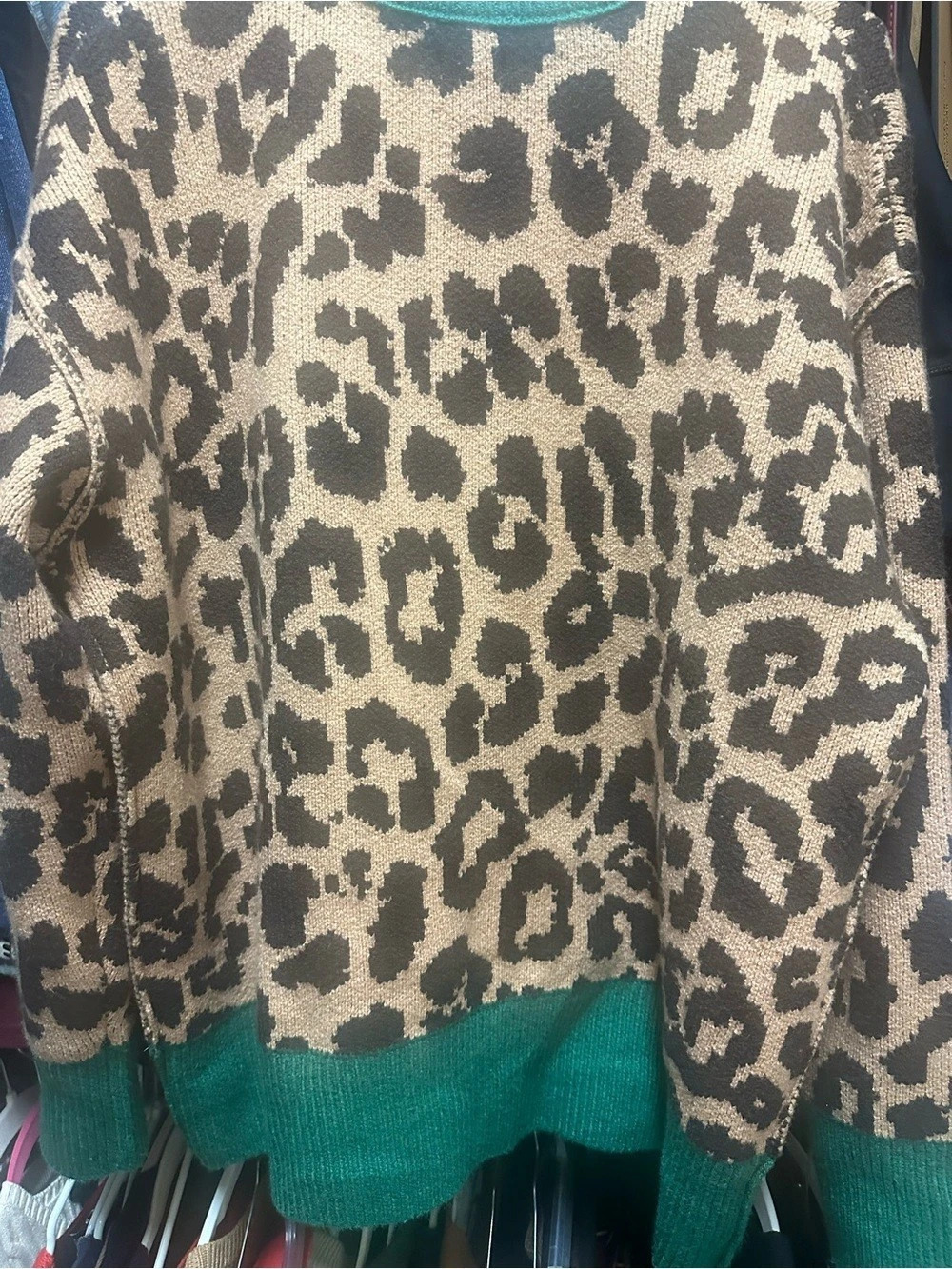 Aerie Leopard Print Sweater Size Small Like New